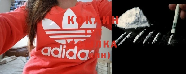 ГАЛЛЮЦИНОГЕННЫЕ ГРИБЫ Аркадак