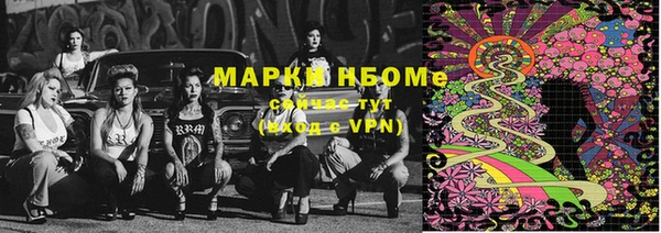 ГАЛЛЮЦИНОГЕННЫЕ ГРИБЫ Аркадак