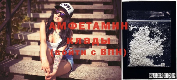 ГАЛЛЮЦИНОГЕННЫЕ ГРИБЫ Аркадак