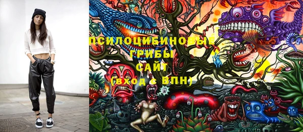 ГАЛЛЮЦИНОГЕННЫЕ ГРИБЫ Аркадак