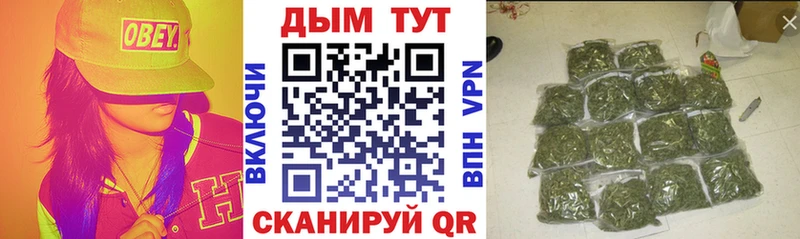 Бошки марихуана сатива  Купить закладки  Владимир 